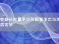 电商补流量平台的运营生态与发展现状