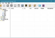 IDM v6.42.42绿色版Internet Download Manager免注册激活