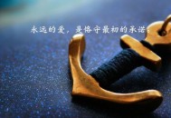 关于某些用户搜索加S器的一些公告