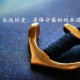 关于某些用户搜索加S器的一些公告