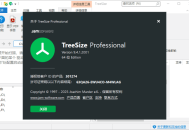 TreeSize(磁盘空间管理工具) Pro v9.7.2.2203 多语便携版