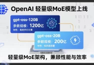 硅基流动上线OpenAI轻量级MoE模型：开发者低成本部署方案