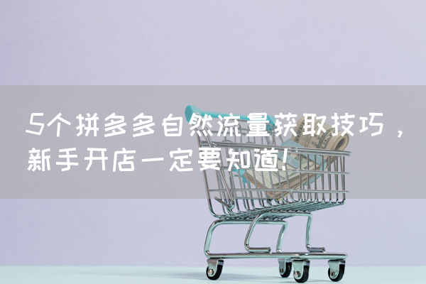 拼多多自然流量获取的5个技巧,新手开店一定要知道!-第1张图片 拼多多自然流量获取的5个技巧,新手开店一定要知道!-第1张图片