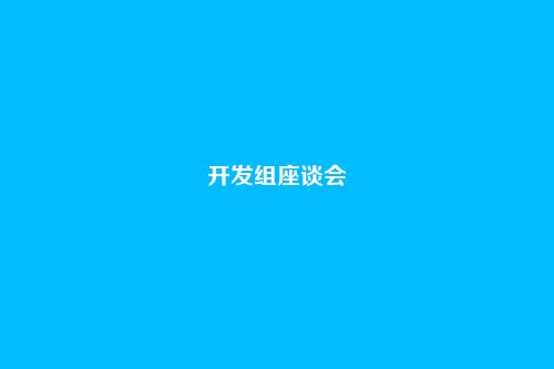开发组座谈会