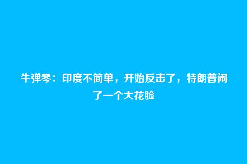 牛弹琴:印度不简单,开始反击了,特朗普闹了一个大花脸