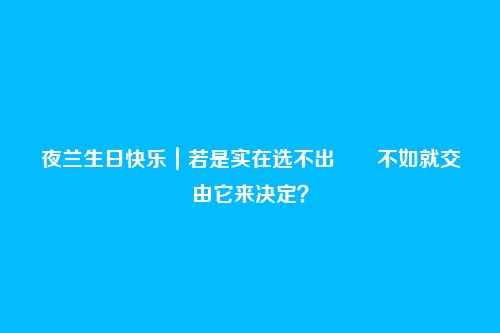 夜兰生日快乐|若是实在选不出――不如就交由它来决定?