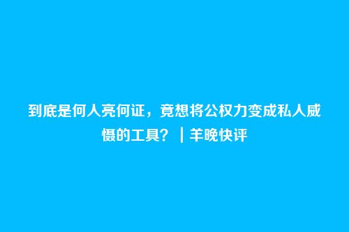 到底是何人亮何证,竟想将公权力变成私人威慑的工具?|羊晚快评