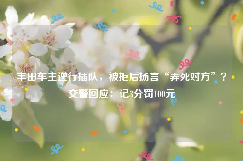 丰田车主逆行插队,被拒后扬言“弄死对方”?交警回应:记3分罚100元