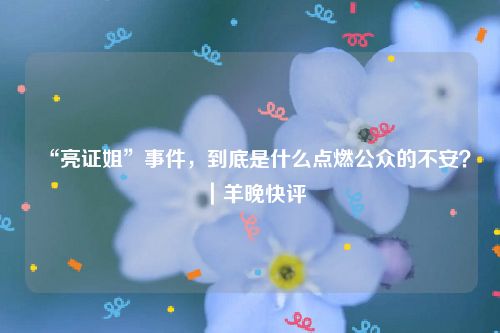 “亮证姐”事件,到底是什么点燃公众的不安?|羊晚快评