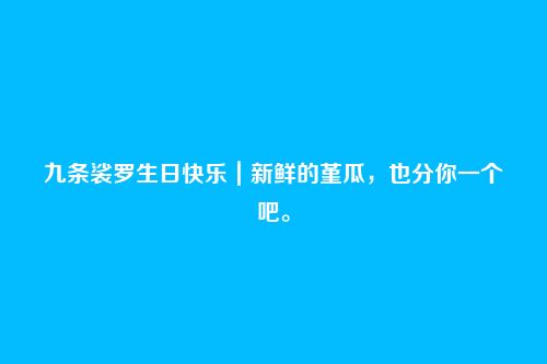 九条裟罗生日快乐|新鲜的堇瓜,也分你一个吧。