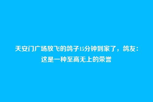 天安门广场放飞的鸽子15分钟到家了,鸽友:这是一种至高无上的荣誉