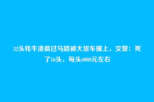 32头牦牛凌晨过马路被大货车撞上,交警:死了16头,每头6000元左右