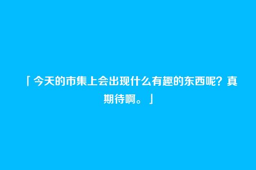 「今天的市集上会出现什么有趣的东西呢？真期待啊。」