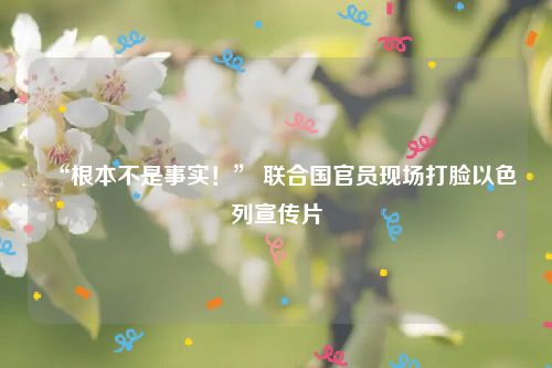 “根本不是事实!” 联合国官员现场打脸以色列宣传片