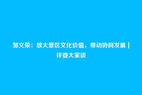 邹义荣:放大景区文化价值,带动协同发展|评委大家谈