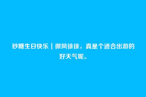 砂糖生日快乐|微风徐徐,真是个适合出游的好天气呢。
