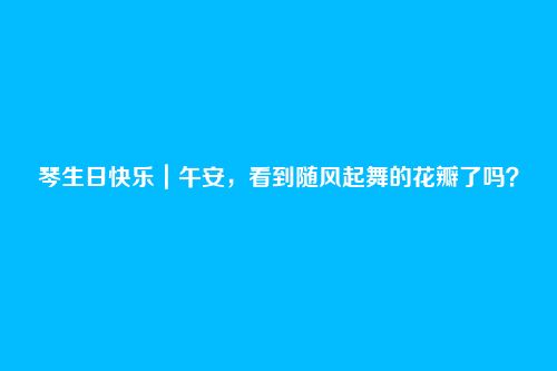 琴生日快乐|午安,看到随风起舞的花瓣了吗?