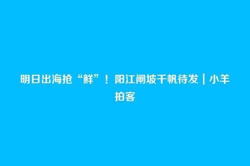 明日出海抢“鲜”!阳江闸坡千帆待发|小羊拍客