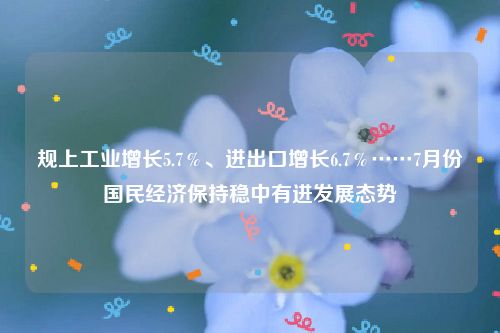 规上工业增长5.7%、进出口增长6.7%……7月份国民经济保持稳中有进发展态势
