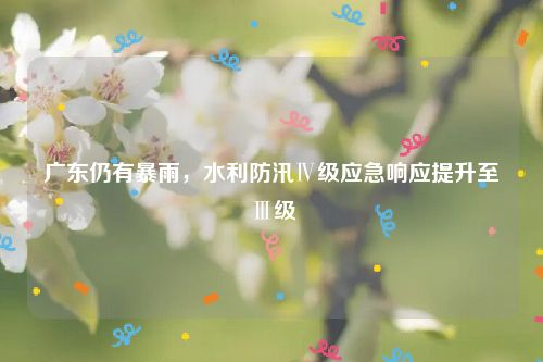 广东仍有暴雨,水利防汛Ⅳ级应急响应提升至Ⅲ级