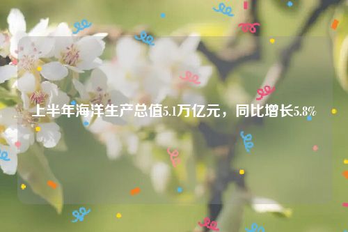 上半年海洋生产总值5.1万亿元,同比增长5.8%