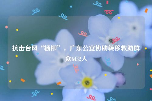 抗击台风“杨柳”,广东公安协助转移救助群众6432人