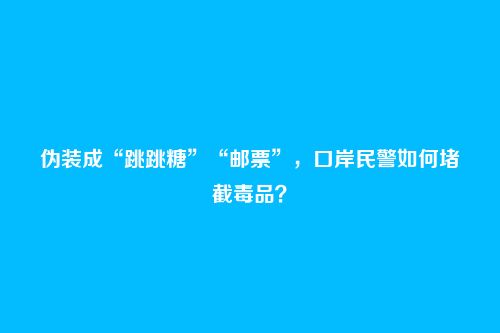 伪装成“跳跳糖”“邮票”,口岸民警如何堵截毒品?