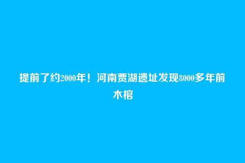 提前了约2000年!河南贾湖遗址发现8000多年前木棺