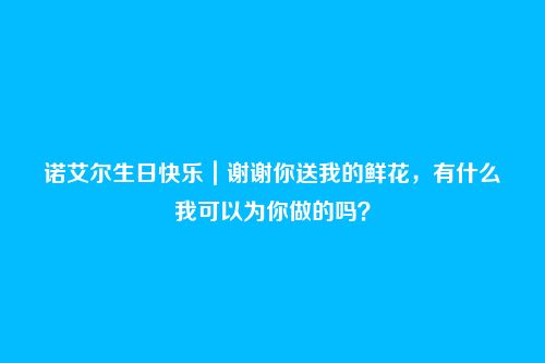 诺艾尔生日快乐|谢谢你送我的鲜花,有什么我可以为你做的吗?