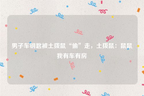 男子车钥匙被土拨鼠“偷”走,土拨鼠:鼠鼠我有车有房