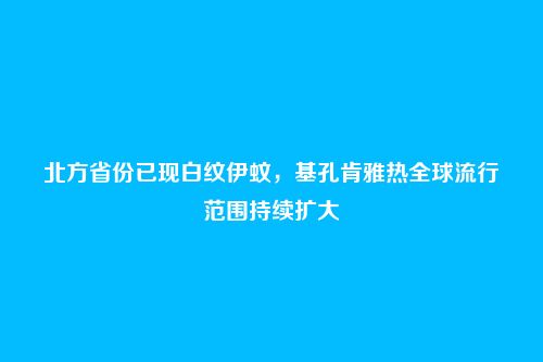 北方省份已现白纹伊蚊,基孔肯雅热全球流行范围持续扩大