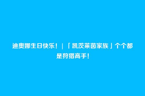 迪奥娜生日快乐!| 「凯茨莱茵家族」个个都是狩猎高手!