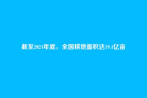 截至2024年底,全国耕地面积达19.4亿亩