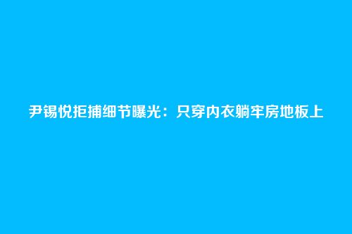 尹锡悦拒捕细节曝光:只穿内衣躺牢房地板上
