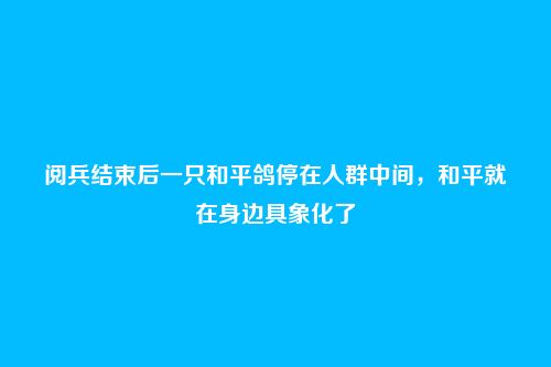 阅兵结束后一只和平鸽停在人群中间,和平就在身边具象化了