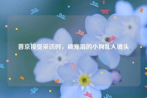 普京接受采访时,被宠溺的小狗乱入镜头