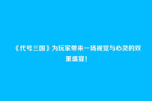 《代号三国》为玩家带来一场视觉与心灵的双重盛宴!