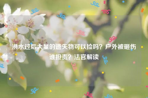 洪水过后大量的遗失物可以捡吗?户外被砸伤谁担责?法官解读