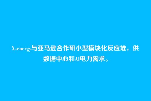 X-energy与亚马逊合作研小型模块化反应堆,供数据中心和AI电力需求。