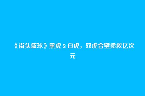 《街头篮球》黑虎&白虎,双虎合璧拯救亿次元