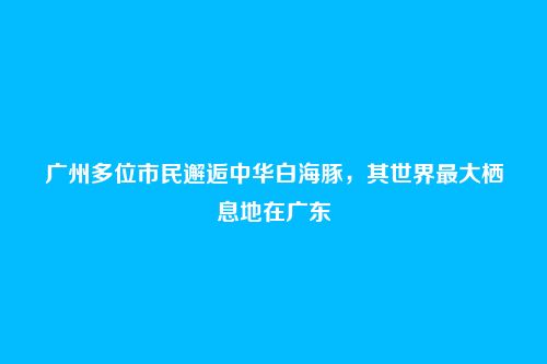 广州多位市民邂逅中华白海豚,其世界最大栖息地在广东
