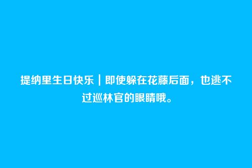 提纳里生日快乐|即使躲在花藤后面,也逃不过巡林官的眼睛哦。