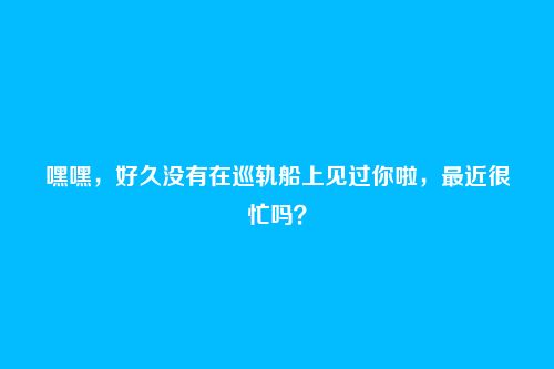 嘿嘿,好久没有在巡轨船上见过你啦,最近很忙吗?