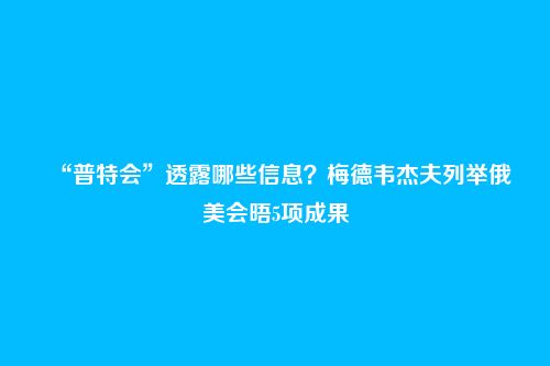 “普特会”透露哪些信息?梅德韦杰夫列举俄美会晤5项成果