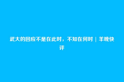 武大的回应不是在此时,不知在何时 | 羊晚快评