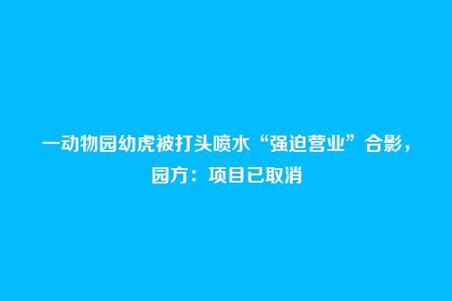 一动物园幼虎被打头喷水“强迫营业”合影,园方:项目已取消
