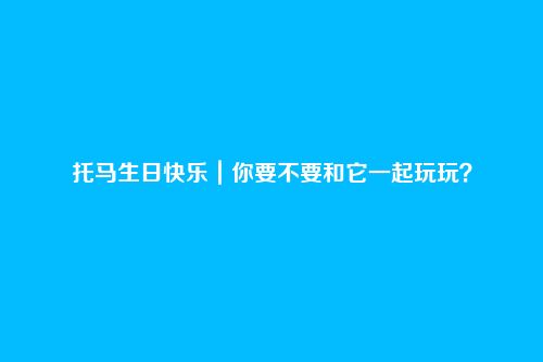 托马生日快乐|你要不要和它一起玩玩?