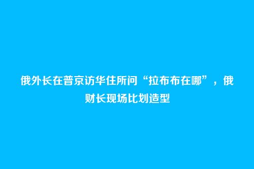 俄外长在普京访华住所问“拉布布在哪”,俄财长现场比划造型