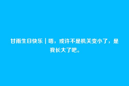 甘雨生日快乐|唔,或许不是机关变小了,是我长大了吧。