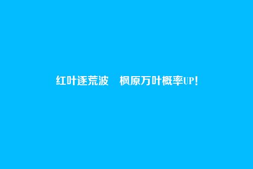 红叶逐荒波・枫原万叶概率UP!